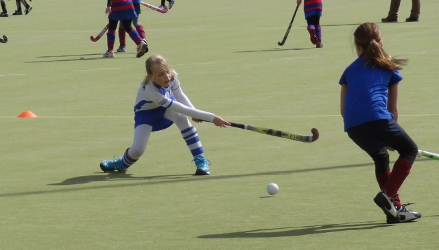 Leer hockeyen bij Mixed Hockeyclub Purmerend