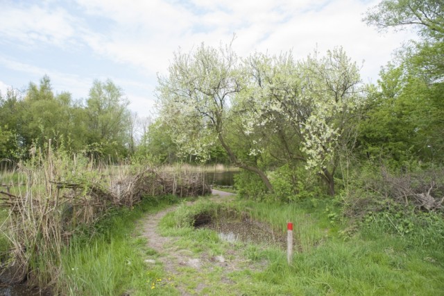 Heemtuin de dwasgouw in Purmerend