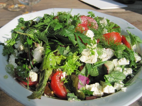 de uiteindelijke salade uit de moestuin