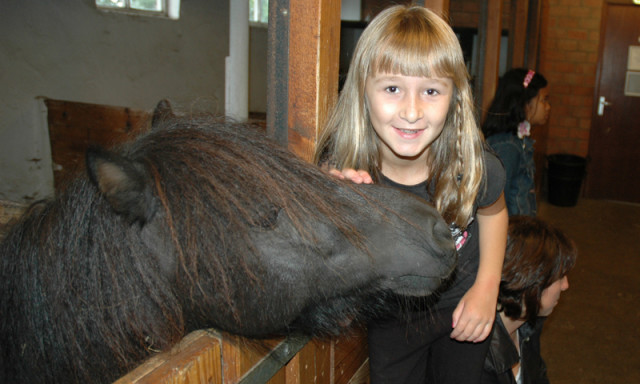 kinderboerderij de ridder