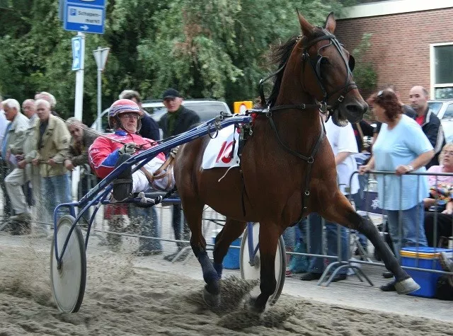 Harddraverij tijdens nazomerfeestweek 2014 in Purmerend