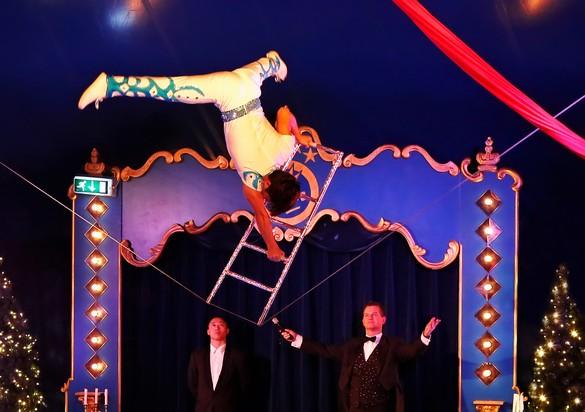 In 2015 komt Circus Sijm met een compleet nieuw programma naar Purmerend