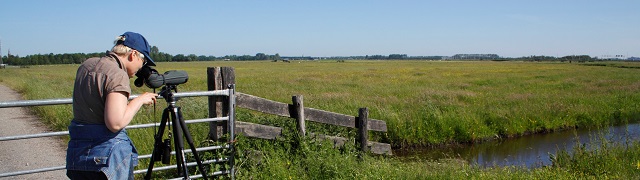 Weidevogels tellen bij Purmerend