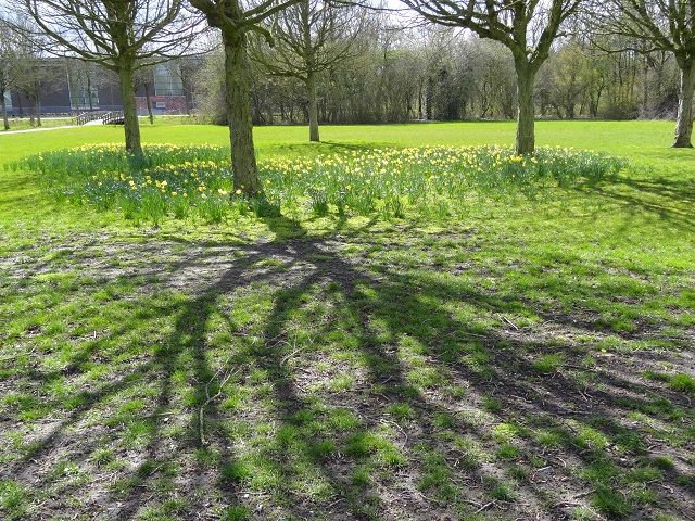 Leegwaterpark met zwembad Purmerend op de achtergrond